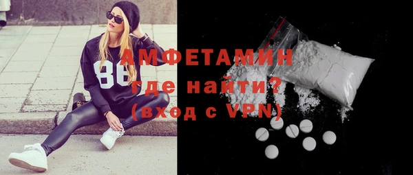 гидра Каменногорск