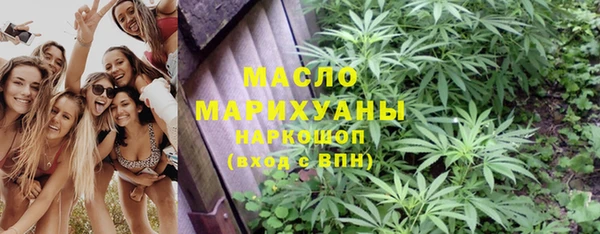 гидра Каменногорск