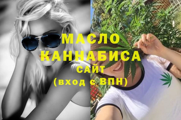 гидра Каменногорск