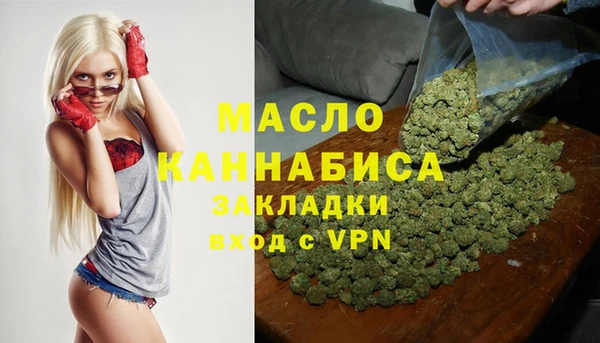 гидра Каменногорск