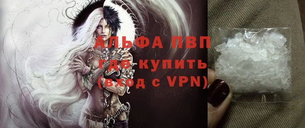 гидра Каменногорск
