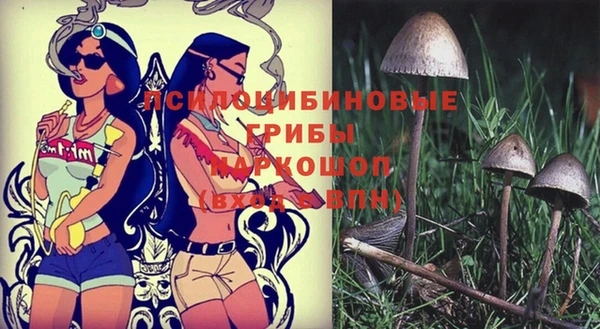 дурь Каменск-Шахтинский