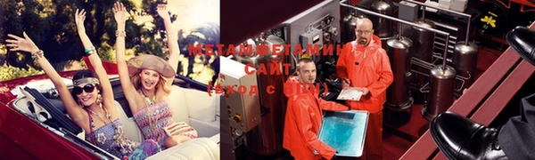 гидра Каменногорск