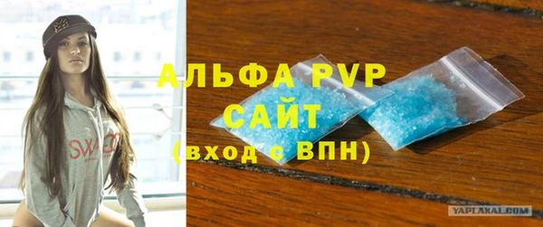 гидра Каменногорск