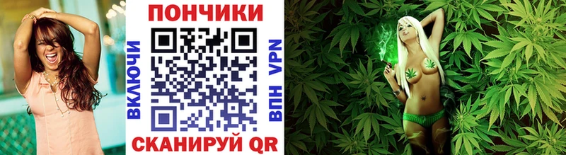 Купить  Знаменск  Канабис Ganja 